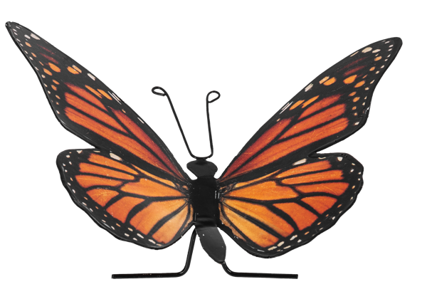 MG194994 - MONARCH BUTTERFLY SET/2