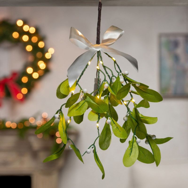 2558260 - 12&quot; ILLUMINATING MISTLETOE
