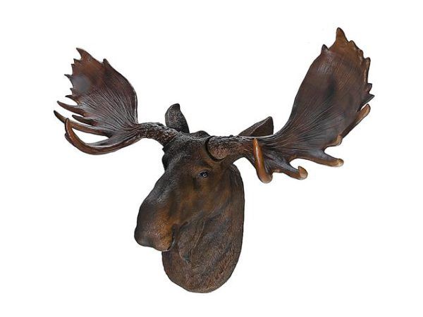 DW-159090 - MOOSE HEAD - THE EMPEROR