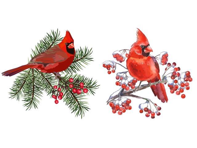 XM-ES1001WC - SWEDISH DISH CLOTH - CARDINALS  SET/2