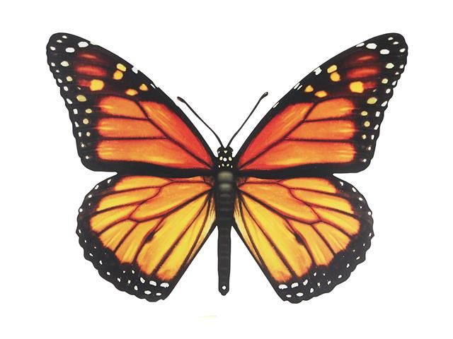 FA-2156 - MONARCH BUTTERFLY WALL DECOR
