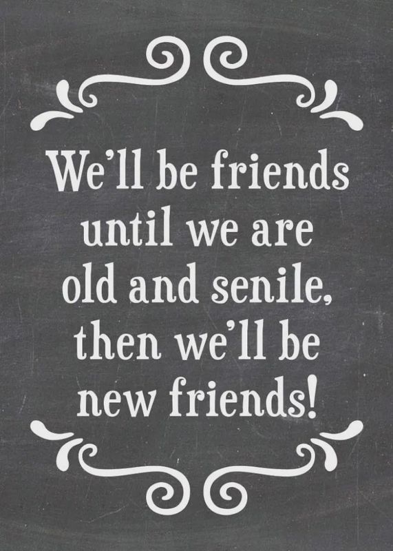 479-SFT0022 - MAGNET / NEW FRIENDS