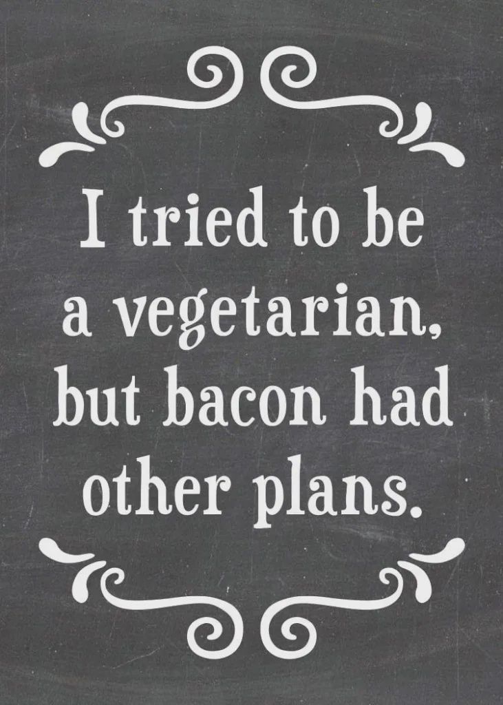 479-SFT0164 - MAGNET / BACON HAD PLANS