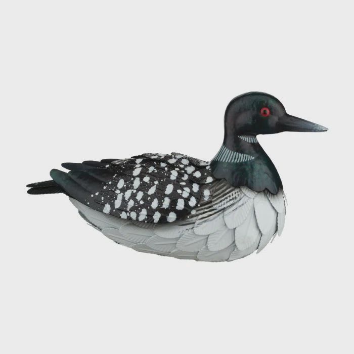 13836 - METAL LOON