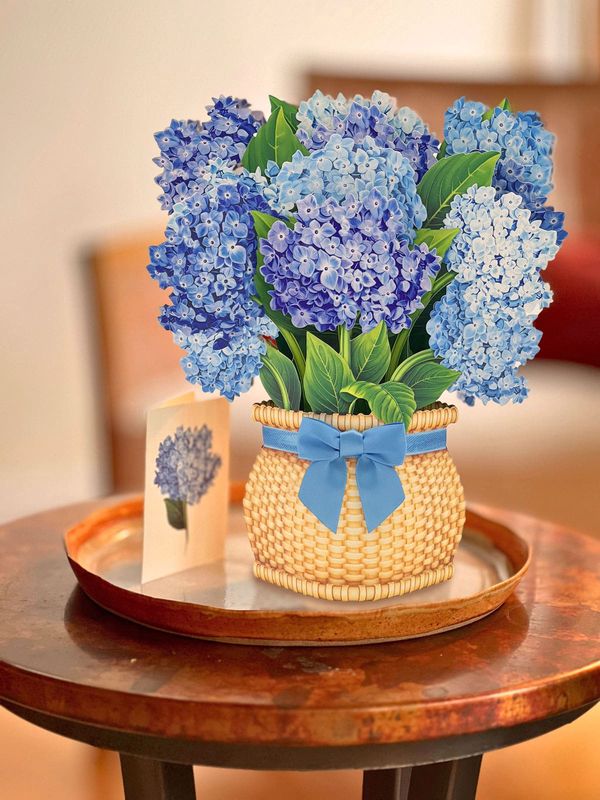 327-3719 - POP-UP FLOWER BOUQUET - NANTUCKET HYDRANGEA