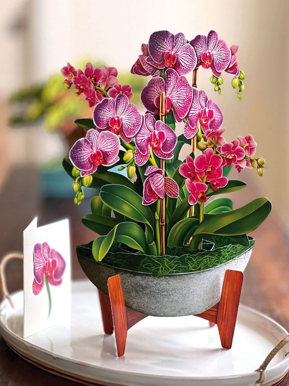 327-3723 - POP-UP FLOWER BOUQUET - ORCHID OASIS