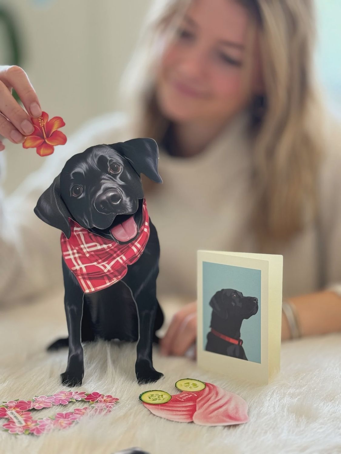 327-1003 - POP-UP PET CARD - BLACK LABRADOR