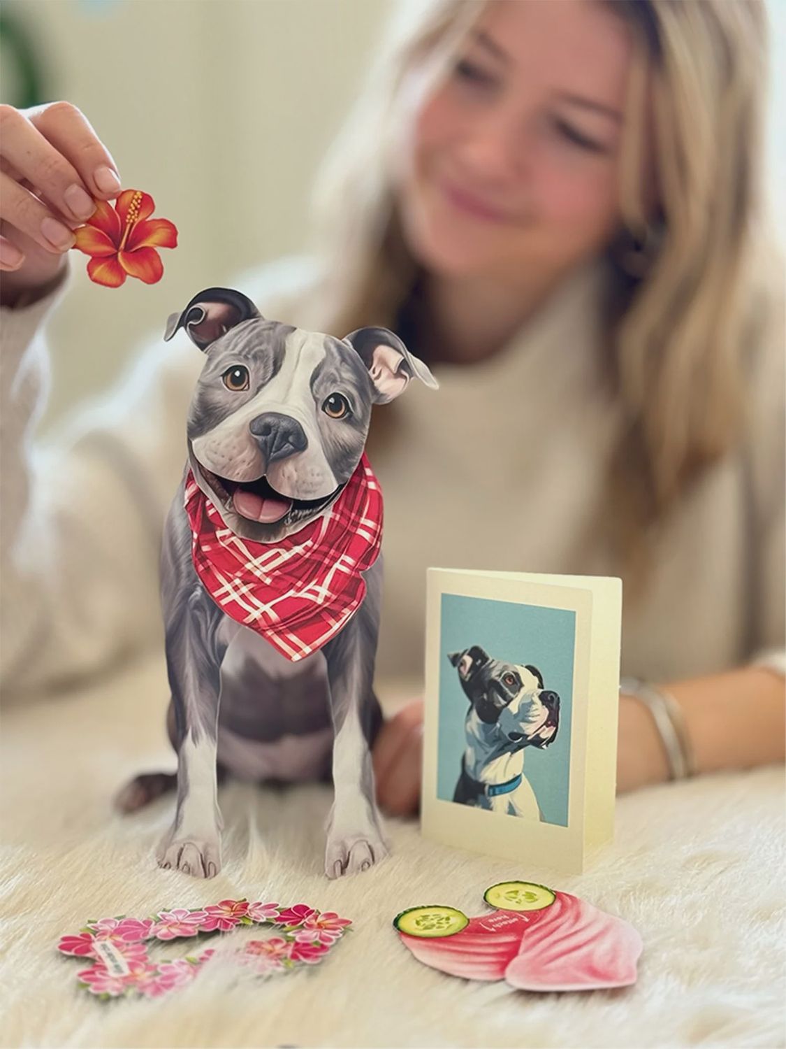 327-1005 - POP-UP PET CARD - GRAY PIT BULL