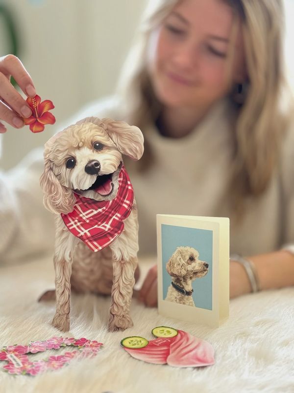 327-1008 - POP-UP PET CARD - WHITE POODLE