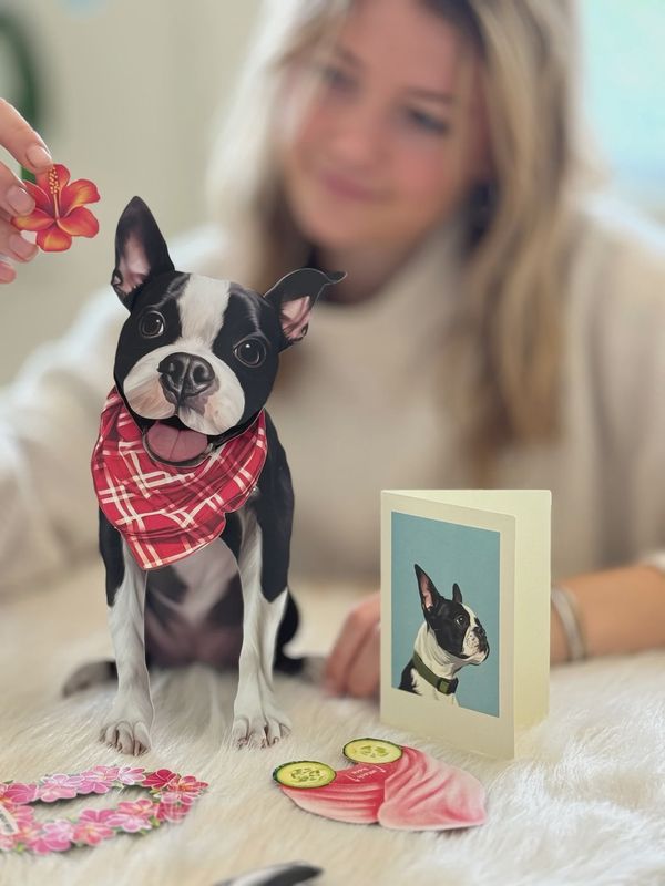 327-1011 - POP-UP PET CARD - BOSTON TERRIER