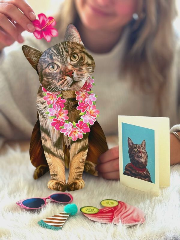 327-1014 - POP-UP PET CARD - BROWN TABBY CAT