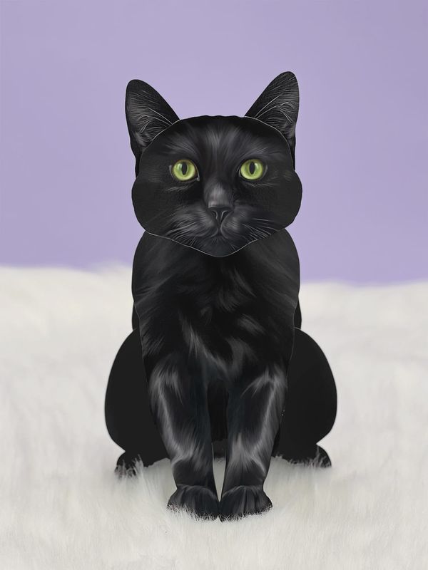 327-1015 - POP-UP PET CARD - BLACK CAT
