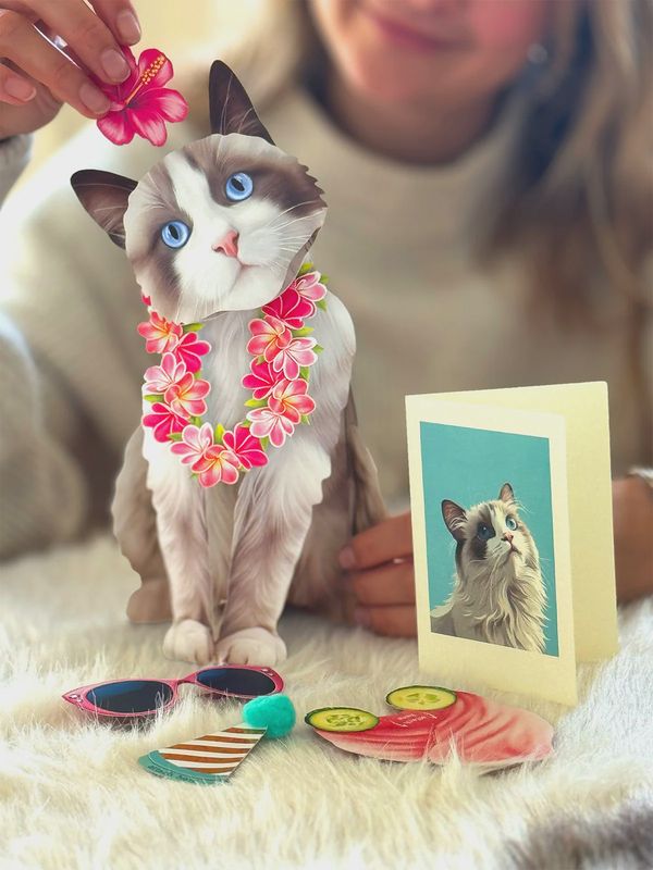 327-1016 - POP-UP PET CARD - RAGDOLL CAT