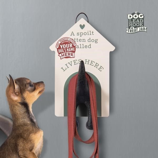 DOG LEASH HOOK