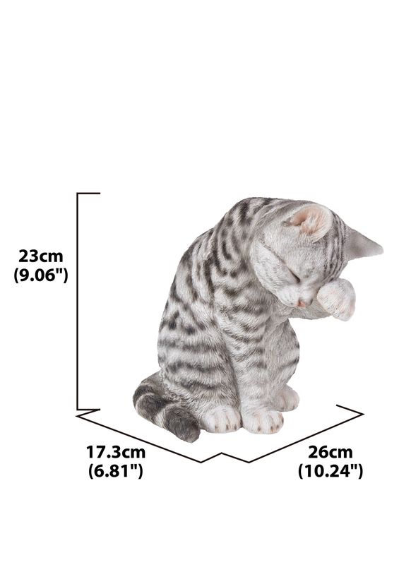 87698-B - AMERICAN SHORTHAIR WASHING / 10.25" H
