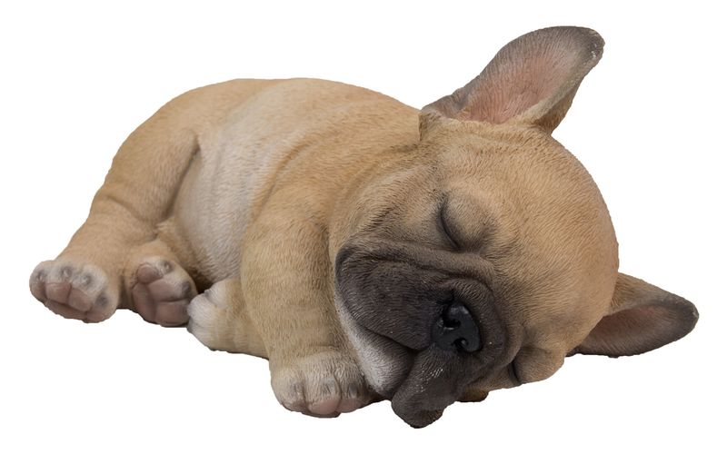 87710-H - FRENCH BULLDOG PUPPY SLEEPING / 3.3" H