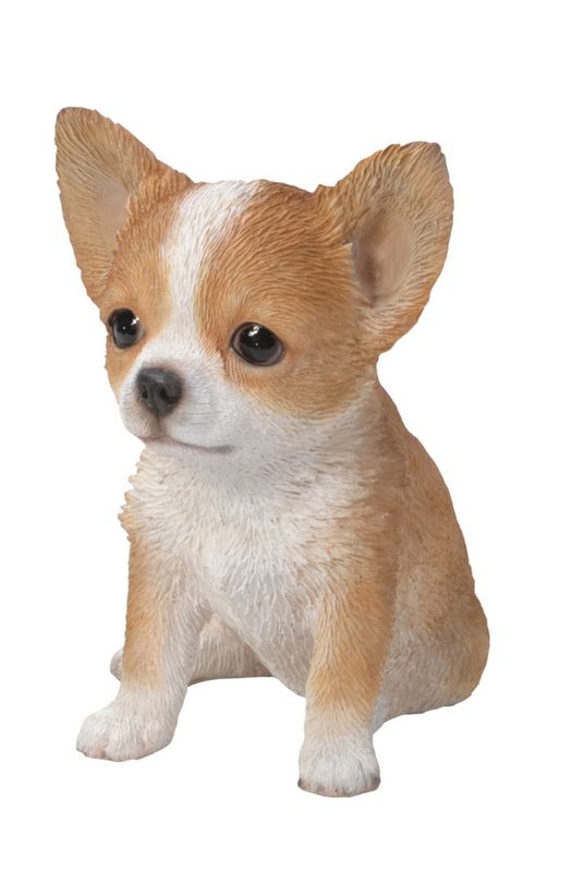 87771-V - CHIHUAHUA PUPPY / 6.5" H
