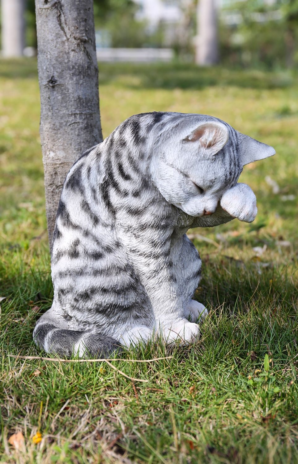 87698-B - AMERICAN SHORTHAIR WASHING / 10.25&quot; H