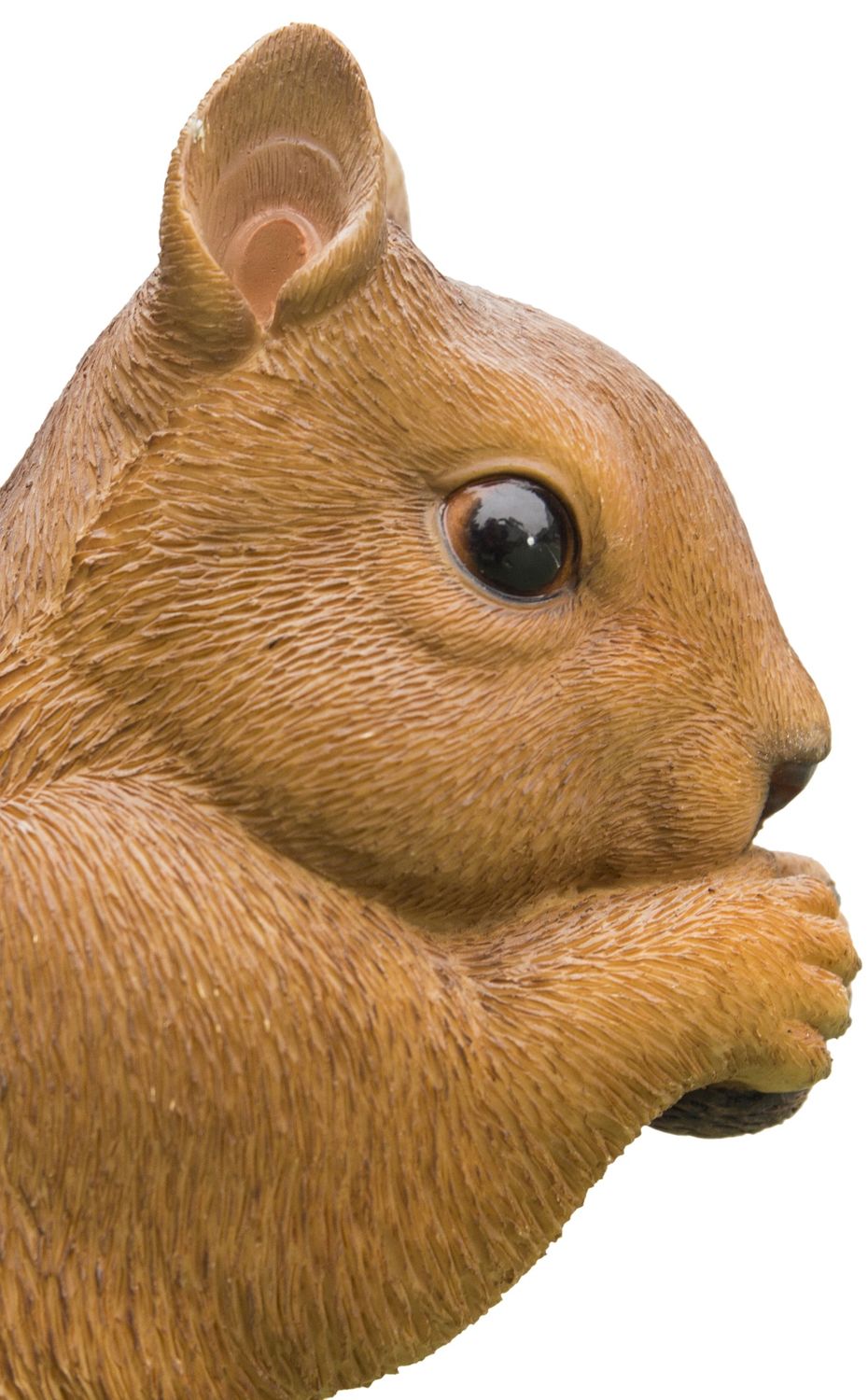 87741-C BROWN SQUIRREL EATING