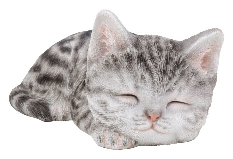 87699-C - KITTEN SLEEPING / 3.15&quot; H