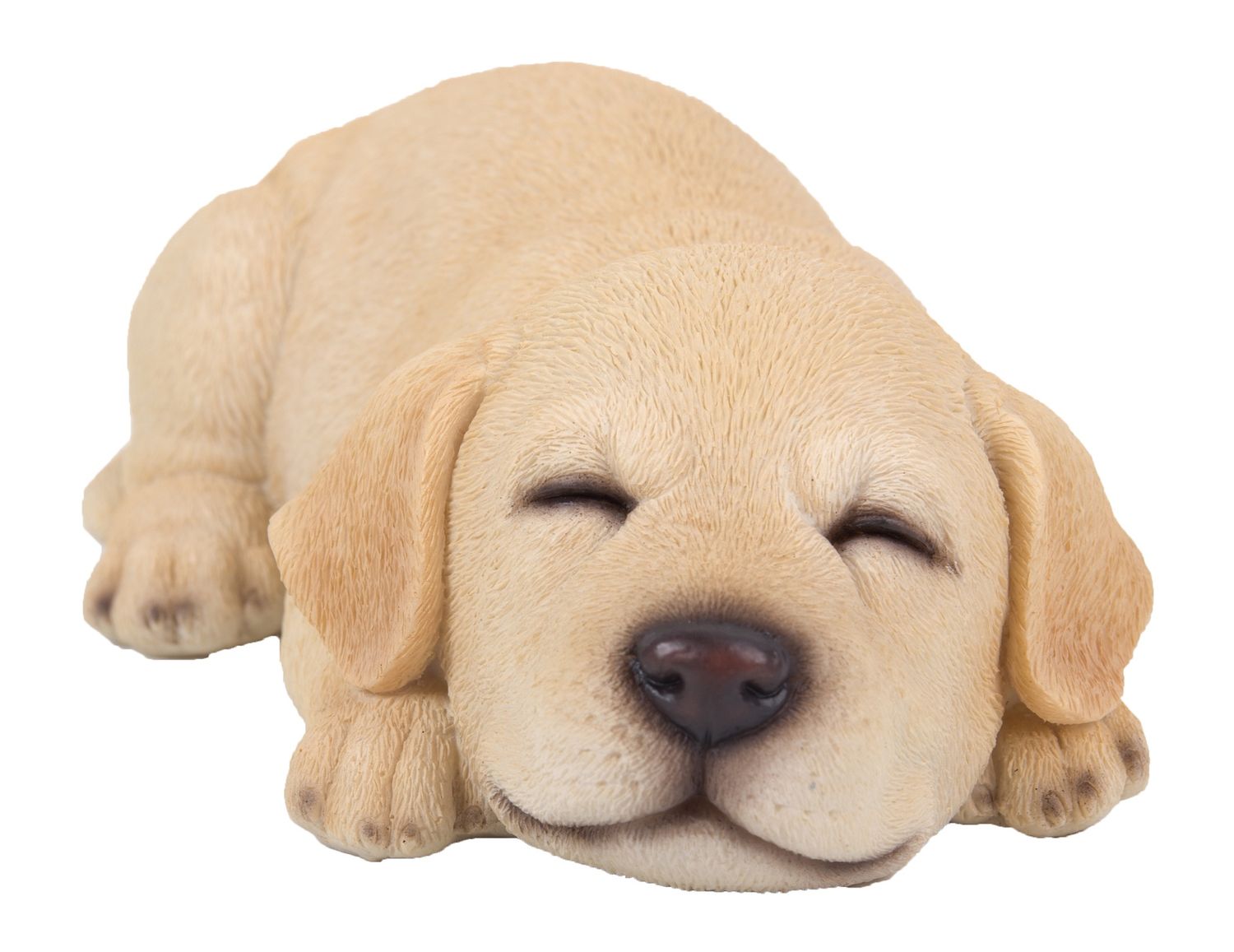 87710-I - LAB SLEEPING / 2.3&quot; H
