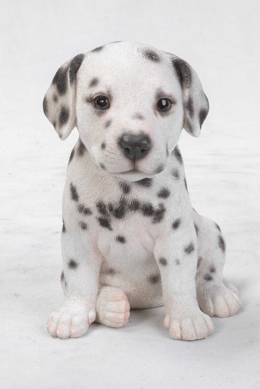 87771-Z - DALMATION PUPPY / 6.5&quot; H