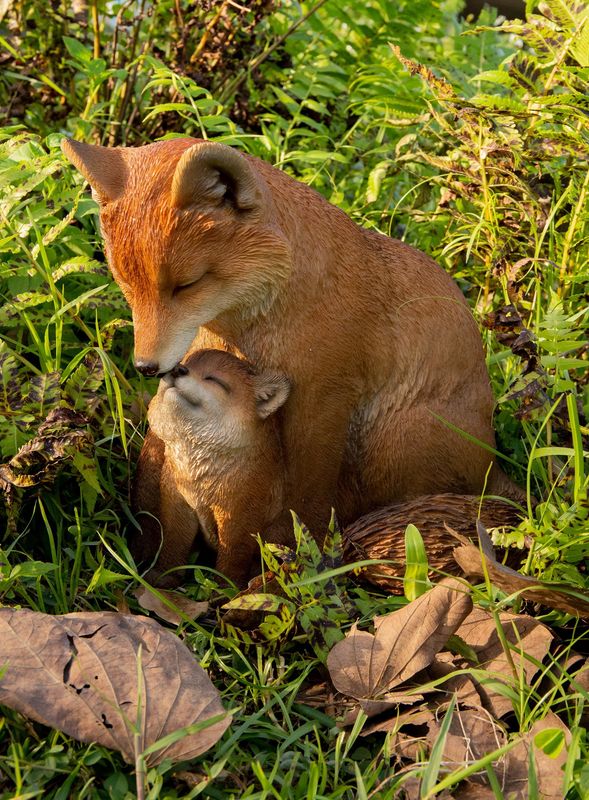 87719-I - MOTHER AND BABY FOX/SMALL