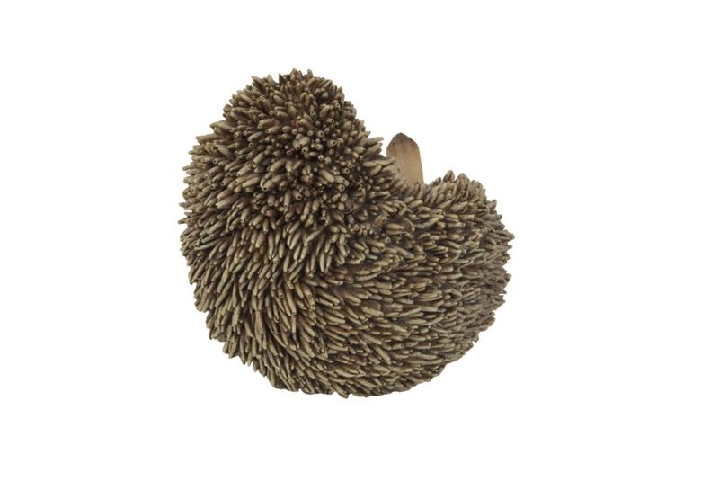 87743-B - HEDGEHOG ON BACK / 5" H
