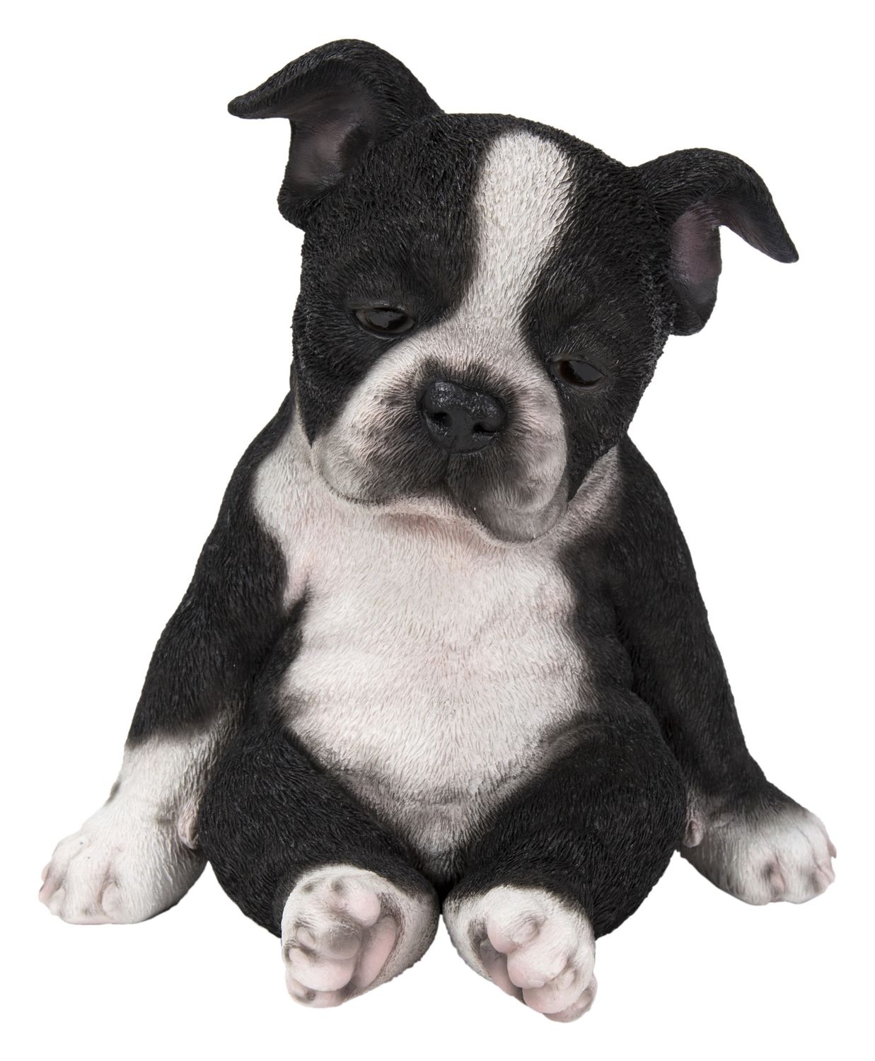 87710-N - SITTING SLEEPY BOSTON TERRIER PUPPY  / 7.28&quot; H
