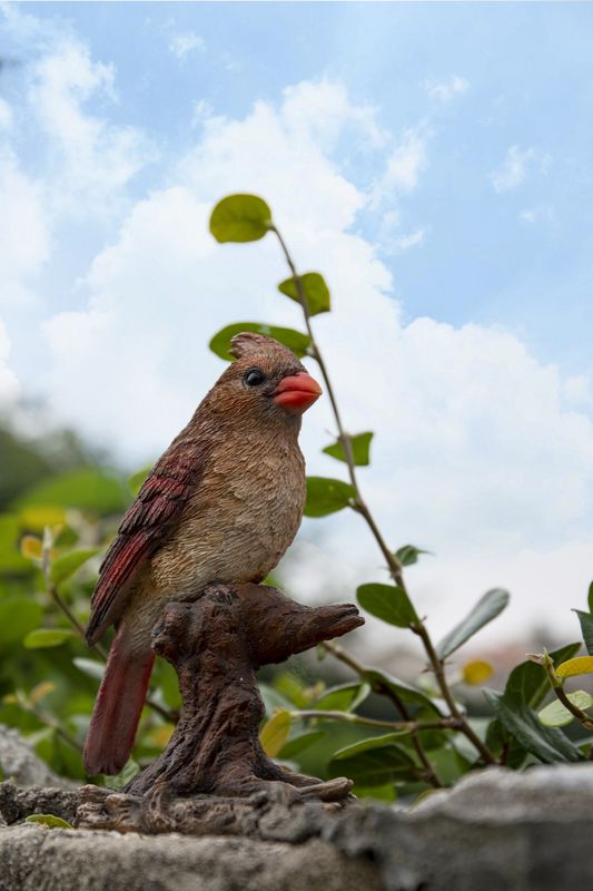 87758-O - FEMALE CARDINAL ON STUMP