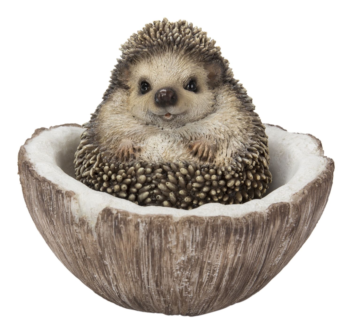 87743-D - COCONUT HEDGEHOG / 3.94&quot; H