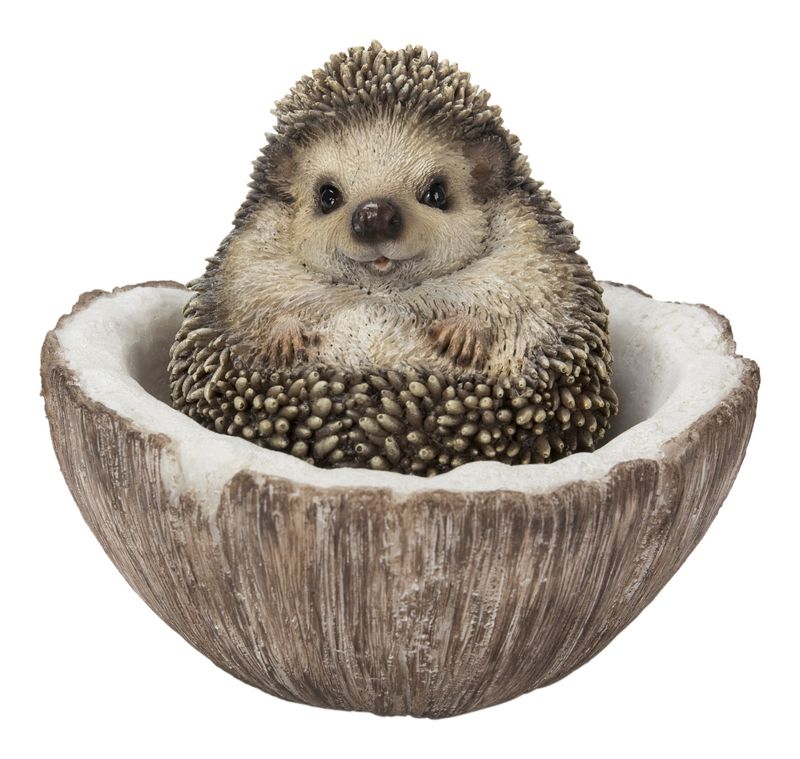 87743-D - COCONUT HEDGEHOG / 3.94&quot; H