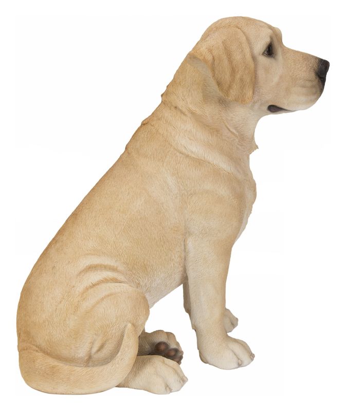 87985-YL-B - SITTING LABRADOR / 9.65" H