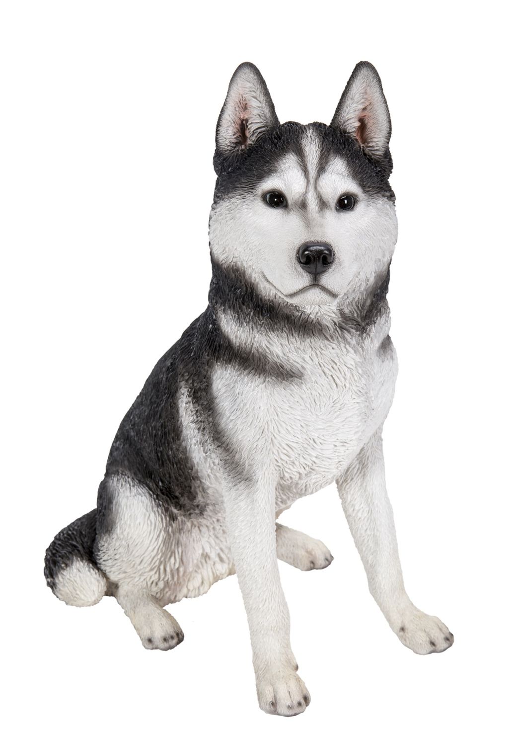 87986-B - SIBERIAN HUSKY SITTING / 20.08&quot; H