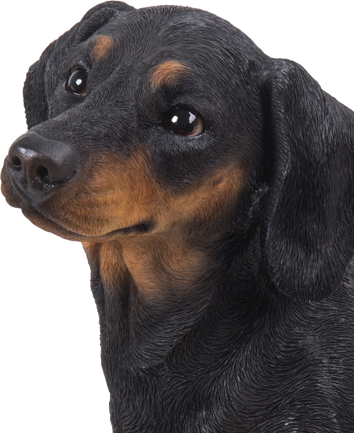 87799-B - DACHSHUND / 13.58&quot; H