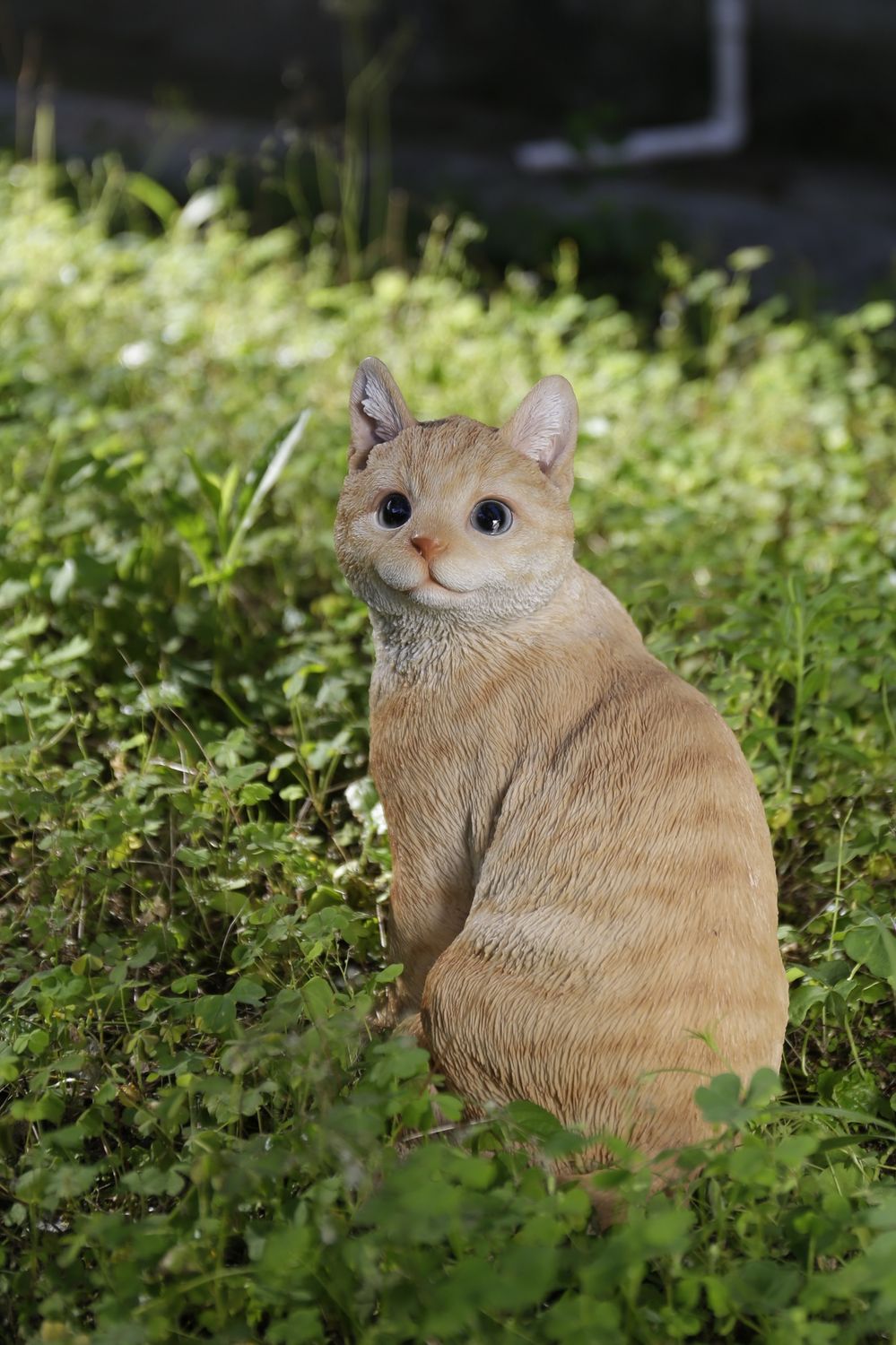 87757-02 - GINGER CAT