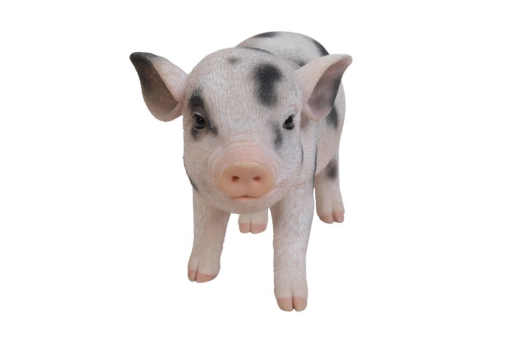 87769-A - BABY PIG WITH BLACK SPOTS STANDING / 5&quot; H