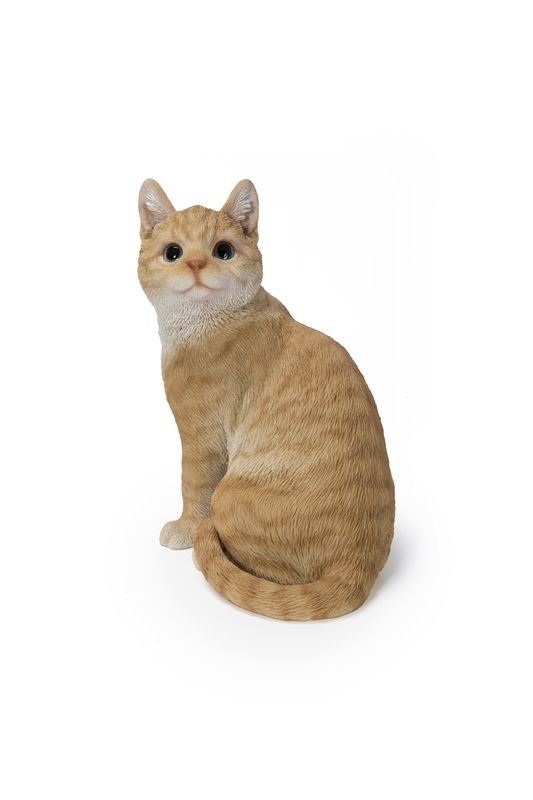 87757-02 - GINGER CAT
