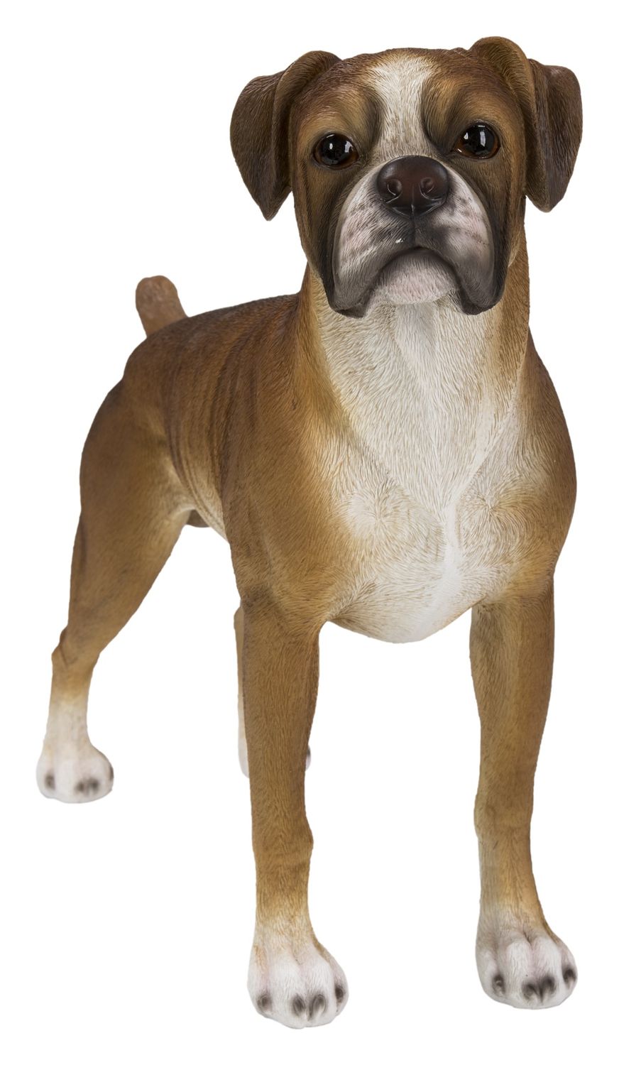 87748-A - WALKING BOXER / 13.78&quot; H