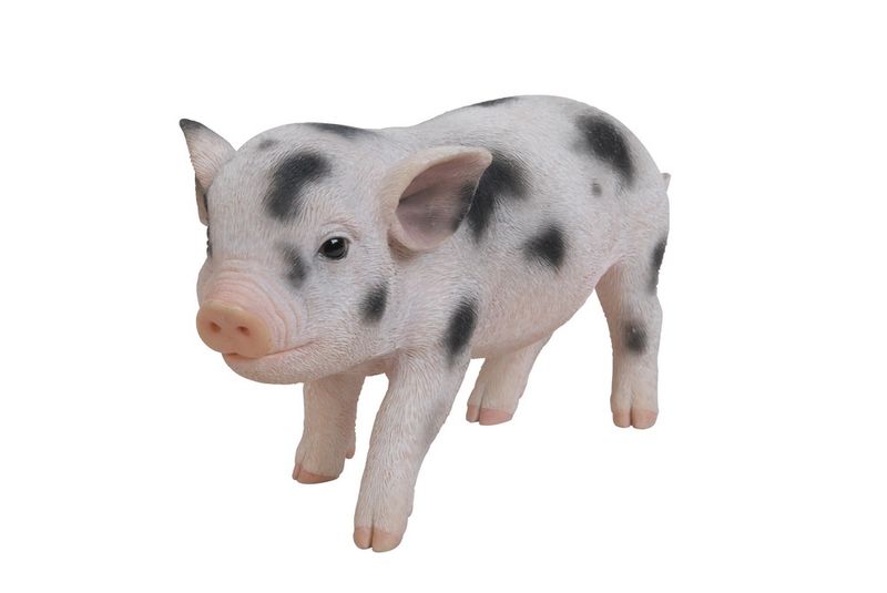 87769-A - BABY PIG WITH BLACK SPOTS STANDING / 5" H