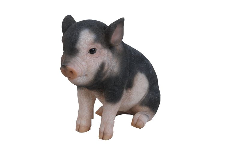 87770-B - BABY PIG PINK AND BLACK SITTING / 6" H