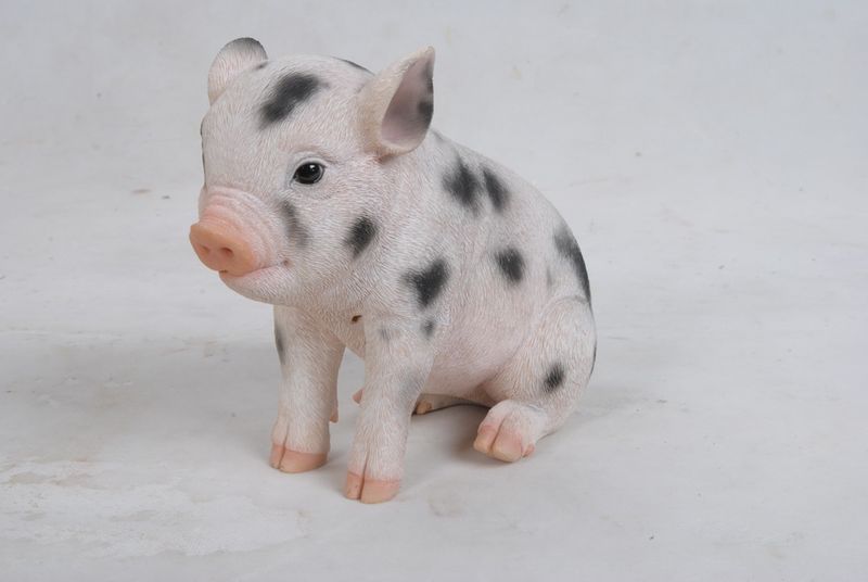 87770-A - BABY PIG WITH BLACK SPOTS SITTING / 6" H