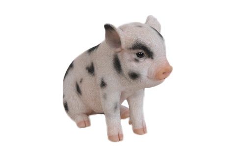 87770-A - BABY PIG WITH BLACK SPOTS SITTING / 6&quot; H