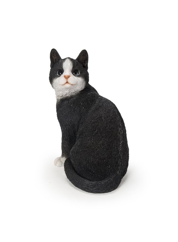 87757-03 - BLACK CAT