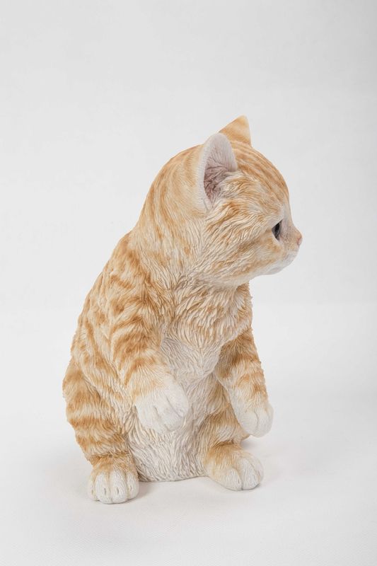 87757-E - ORANGE TABBY KITTEN PLAYING / 8" H