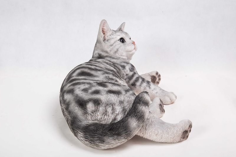 87757-G - AMERICAN SHORTHAIR LYING DOWN / 8" H