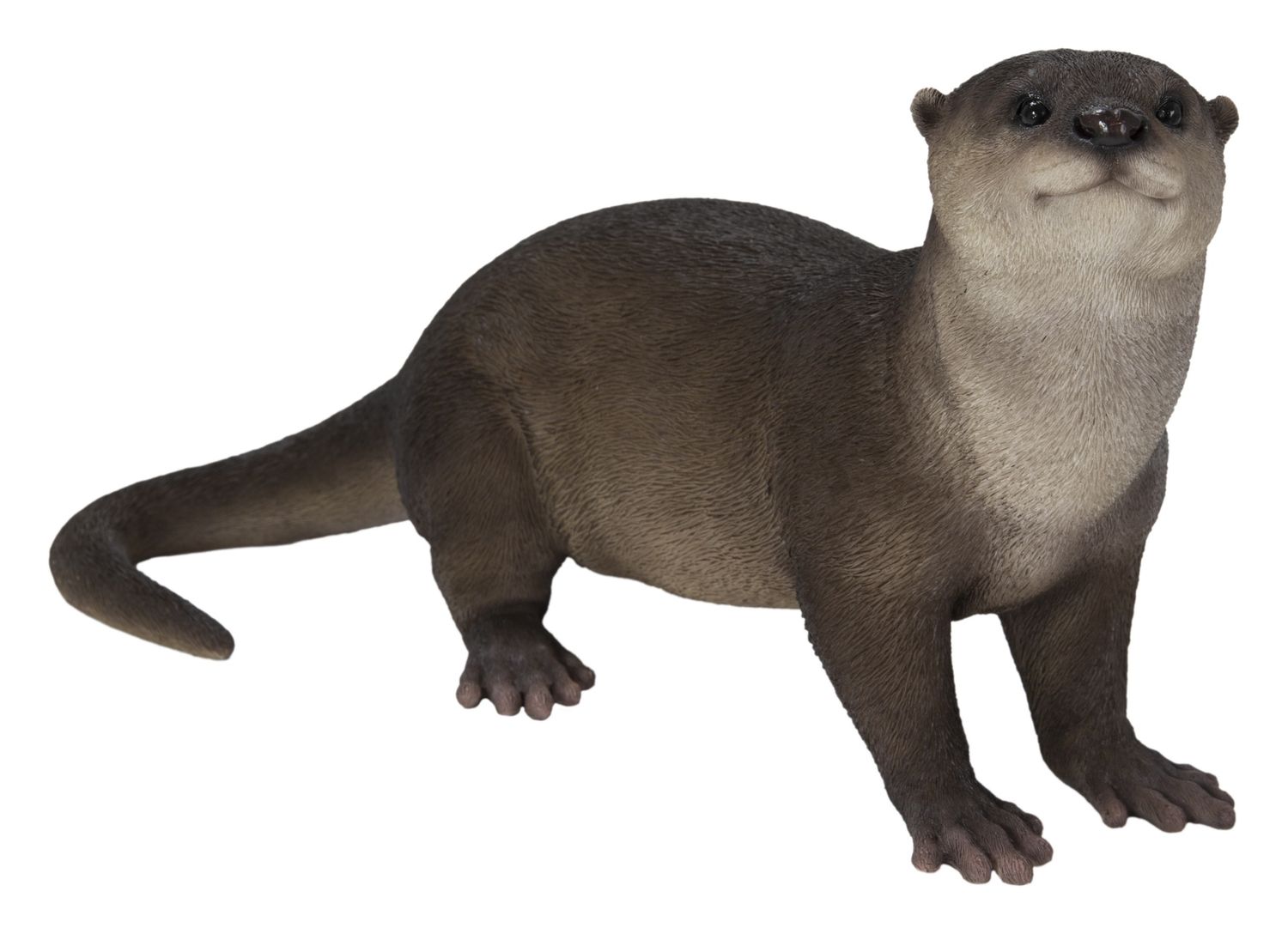 87991-D - OTTER / 6.5&quot; H