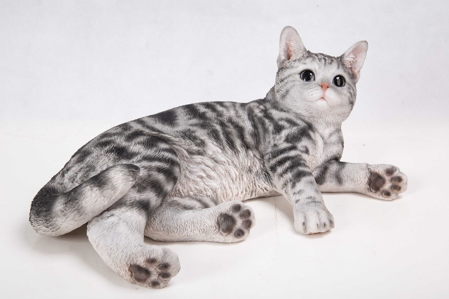 87757-G - AMERICAN SHORTHAIR LYING DOWN / 8&quot; H