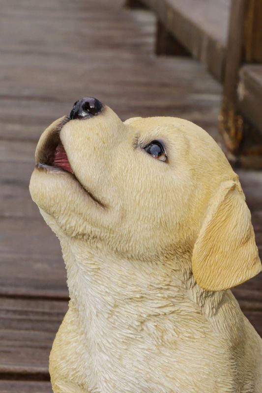 87703-G - HOWLING YELLOW LABRADOR PUPPY STATUE / 6.81" H