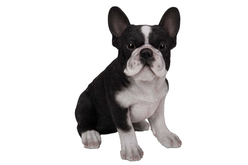 87771-03 - FRENCH BULLDOG PUPPY / 7&quot; H